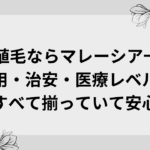 治安の良いマレーシアなら観光気分で海外植毛｜費用も安くその後のケアも安心